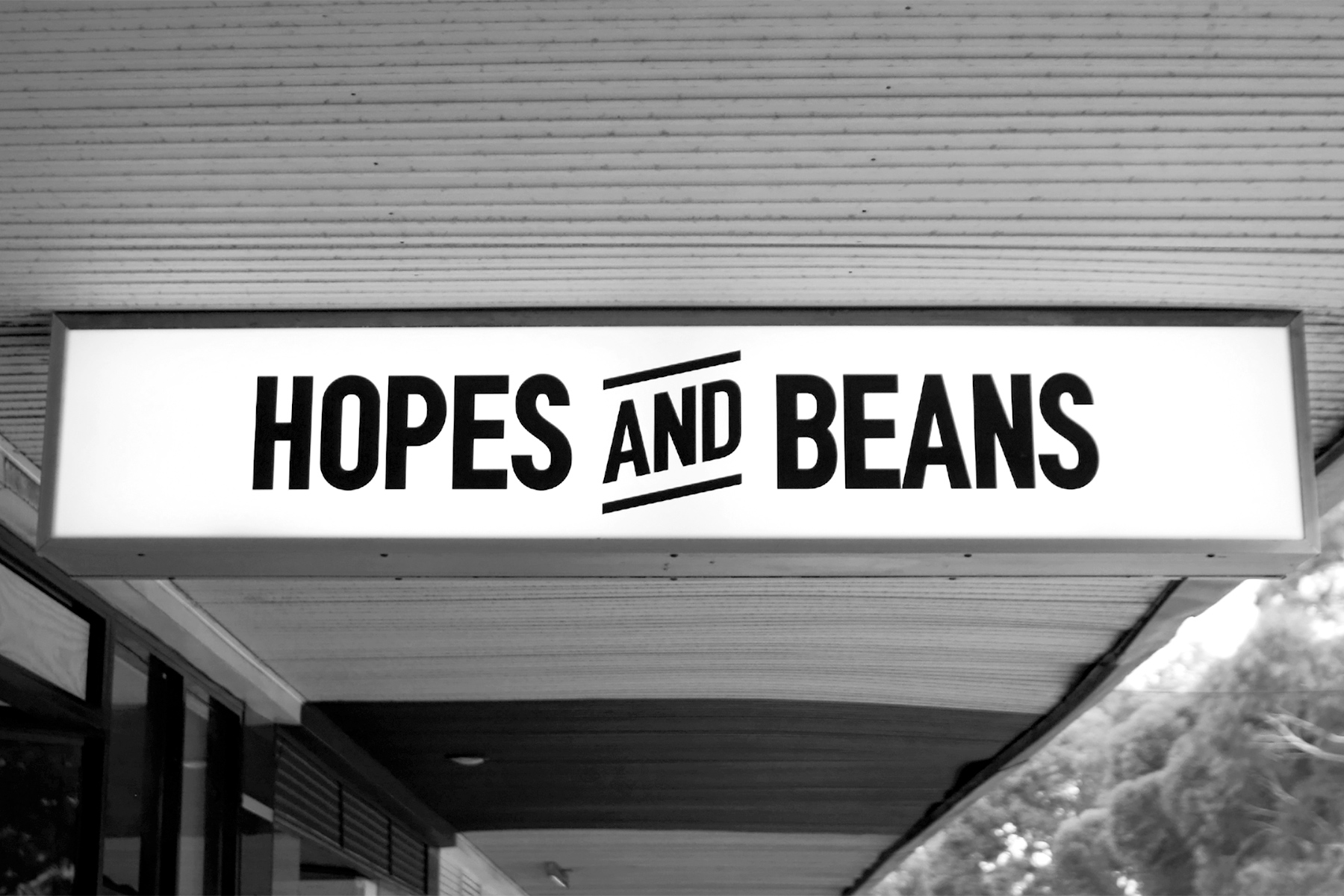 Hopes and Beans